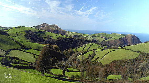 Exmoor View